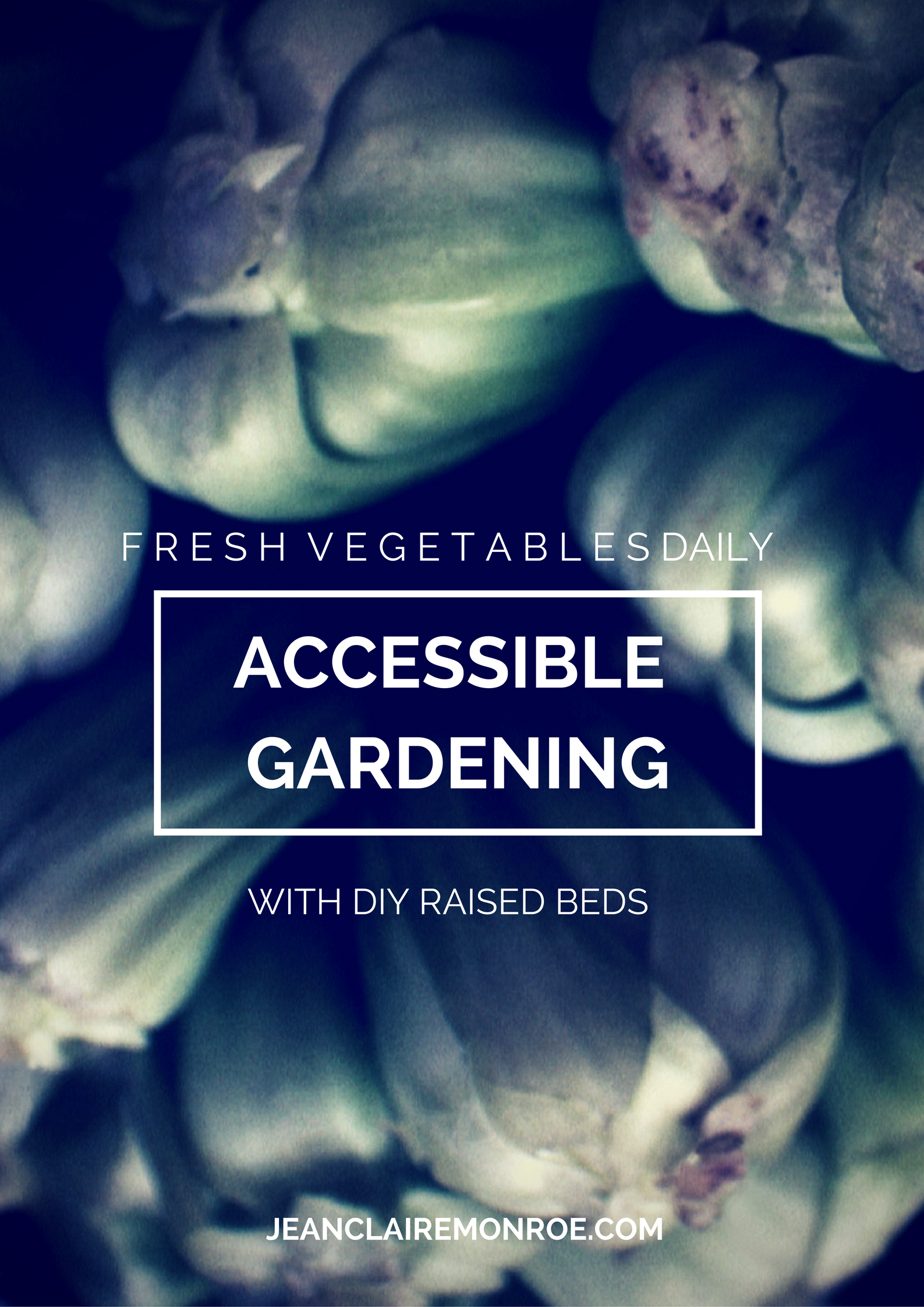 accessible gardening with diy raised beds