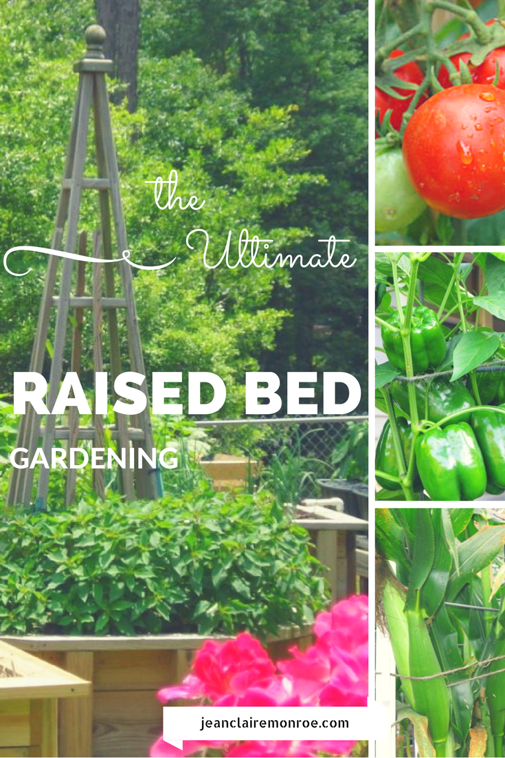 Raised Bed Vegetable Gardening