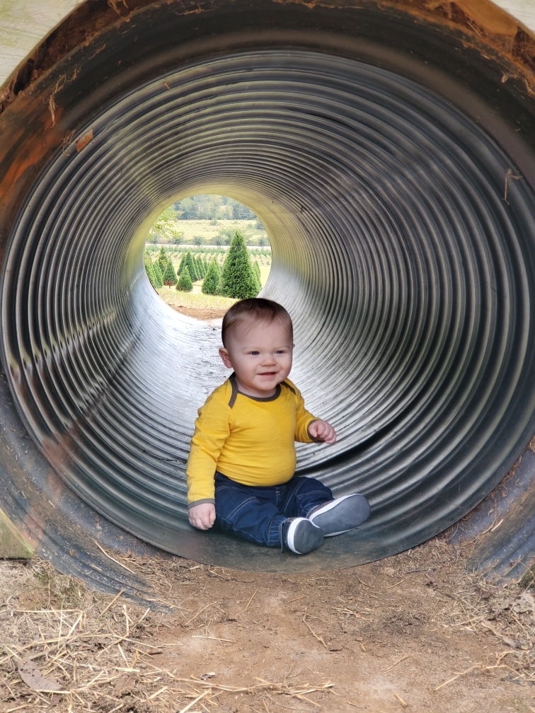 What’s Up Wednesday – September 2020
