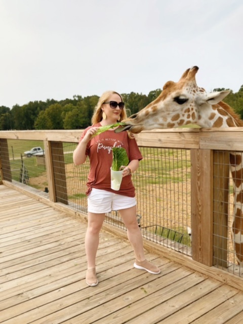 McClain Safari Adventure