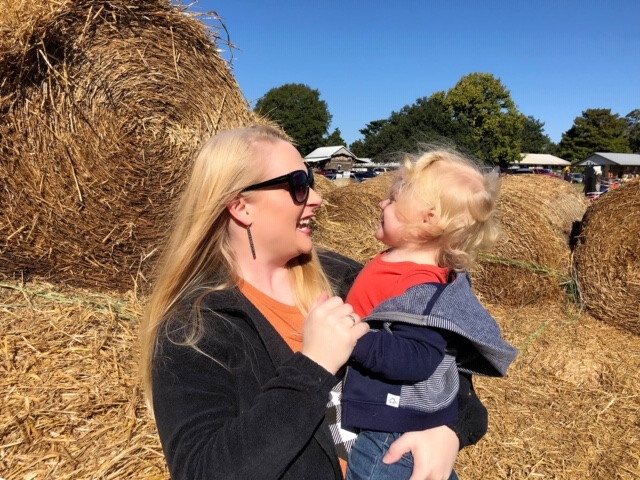 Mitchell Farms Pumpkin Patch