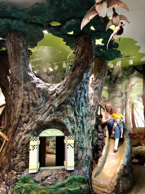 Natural Science Museum