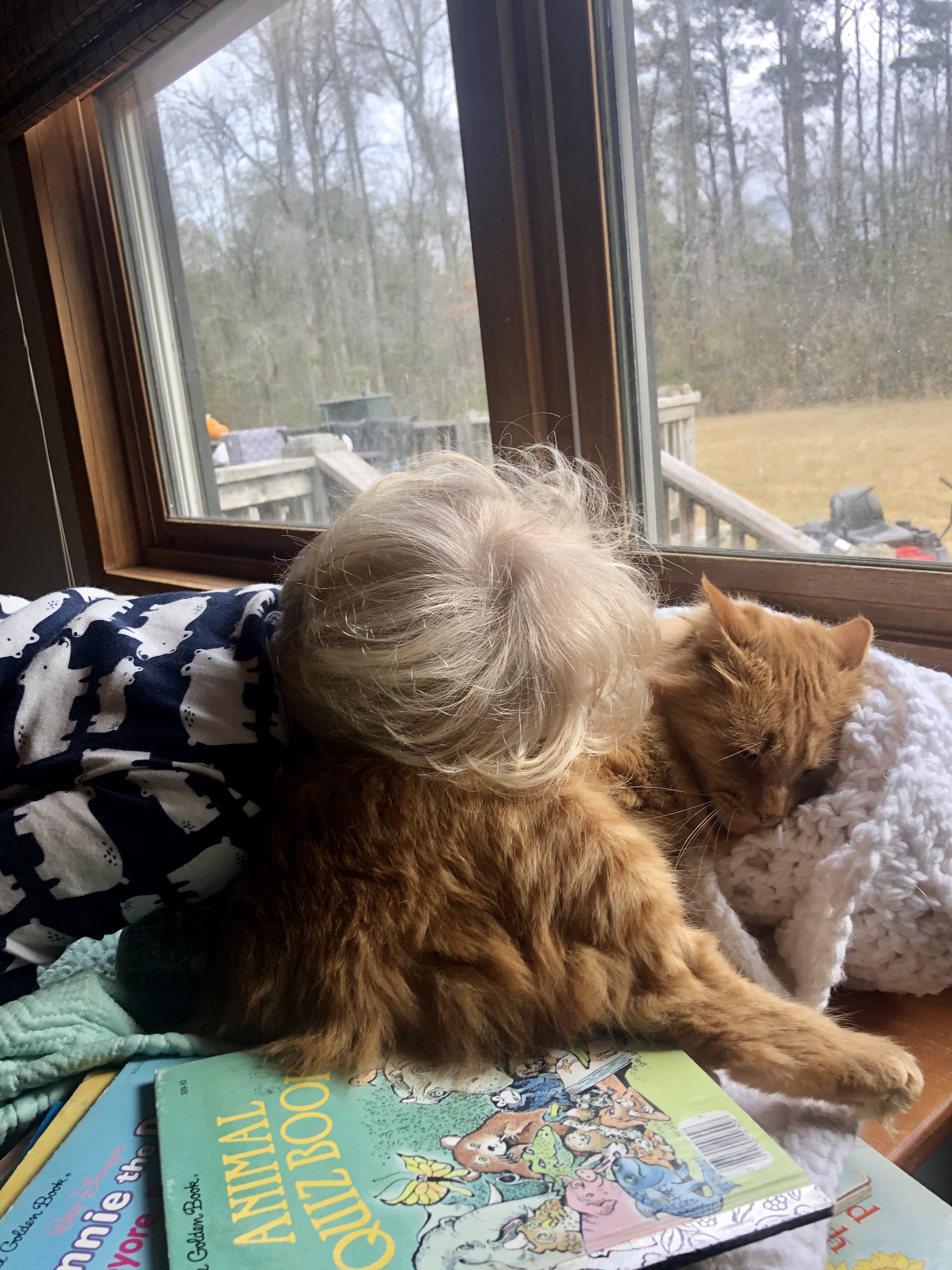 Life with Liam – December 2020