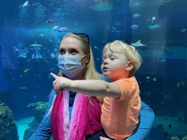 Mississippi Aquarium