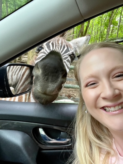 Harmony Park Safari